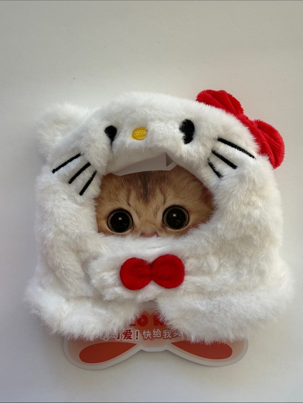 White Plush Kitty Hood with Red Bow Accent